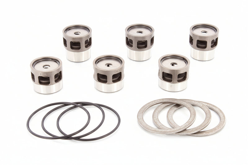 Load image into Gallery viewer, 5267001 DISC VALVE KIT FOR FMC BEAN L06 SERIES
