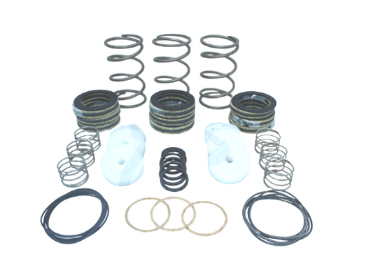 Sewer Jetter Myers Pump Parts Repair Kit; FEM 17678A081 Buck Horn Pump