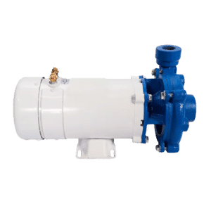 MORO USA DC 10 – Cast Iron Washdown Pump
