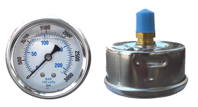 Pressure Gauge | Back Mount (BM)