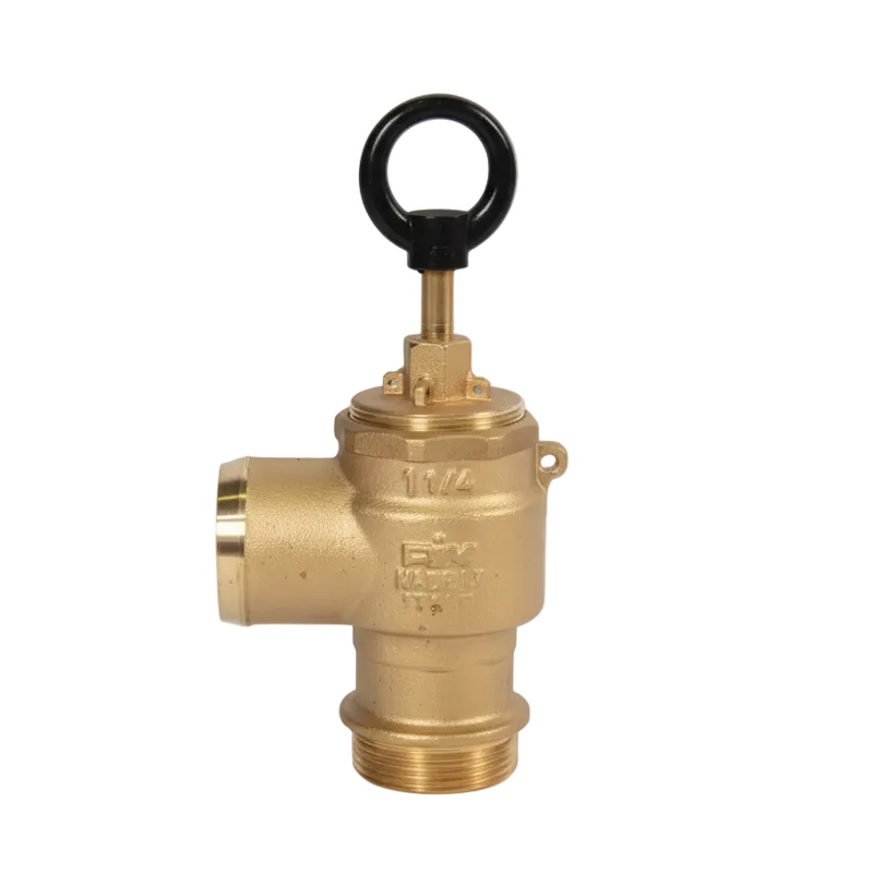 Load image into Gallery viewer, Pressure Relief Valve
