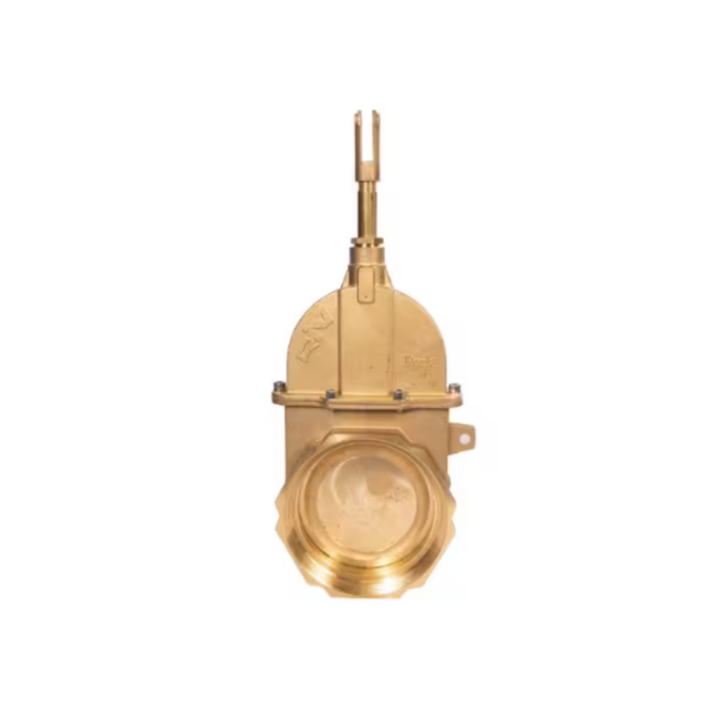 Load image into Gallery viewer, Brass Piston Valve ( FNPT*FNPT )
