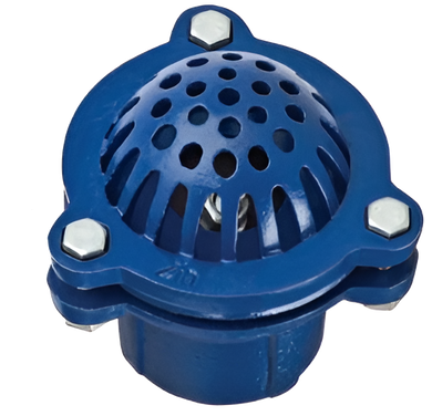 Foot Valve