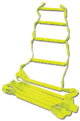 Flexible Ladders